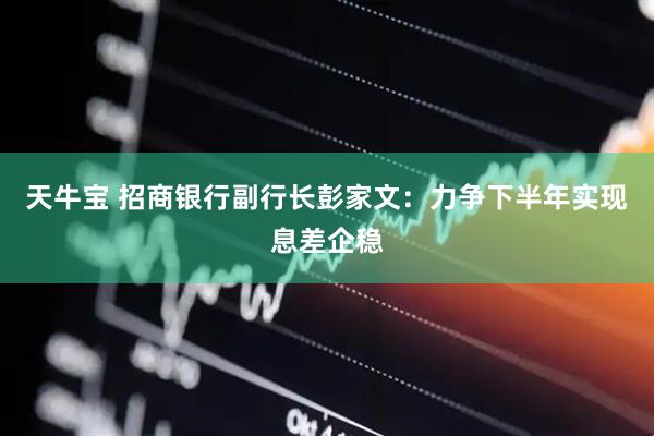 天牛宝 招商银行副行长彭家文：力争下半年实现息差企稳