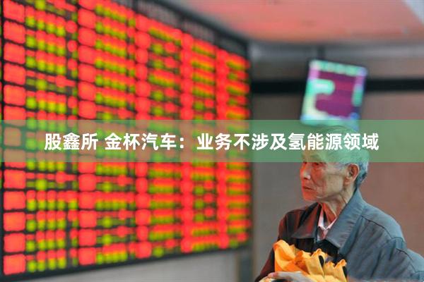 股鑫所 金杯汽车：业务不涉及氢能源领域